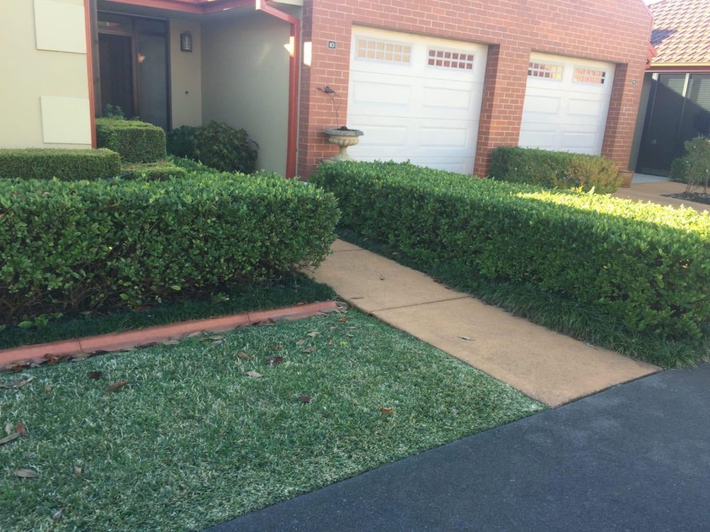 Lawn Care