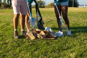 Green Waste Removal